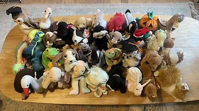 Buy TY BEANIE BABIES - Random Selection Of 5 - ALL WITH TAGS AND TAG PROTECTORS • 4.99£