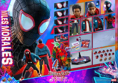 Buy Hot Toys MMS567 1/6 Into The Spider-Verse Spider-Man Miles Morales Action Figure • 356.99£