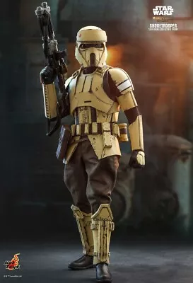 Buy Hot Toys Shore Trooper From Star Wars Mandalorian/Andor TV Shows. TMS031 UK Sale • 189£