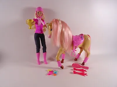 Buy Barbie Play Set Shower & Show Tawny Rider + Horse + Accessories Mattel (13758) • 19.27£