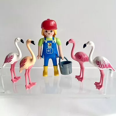Buy Playmobil Flamingos Zoo Keeper. Lady Zoo Keeper Feeding The Flamingos Animals • 6.50£