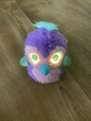 Buy Hatchimals Interactive Owl Light Up Eyes • 2.99£