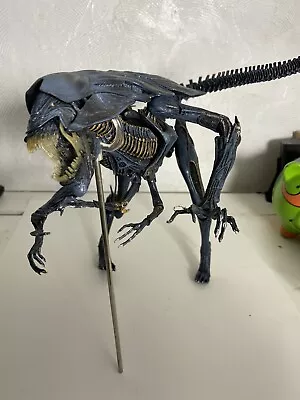 Buy NECA Alien Queen Aliens Xenomorph Ultimate Figure 7  Scale • 119.99£
