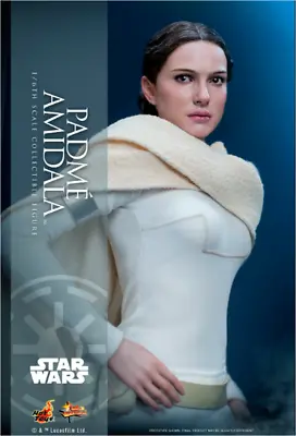 Buy Padmé Amidala ~ Star Wars Attack Of The Clones Masterpiece Series - 1/6 Hot Toys • 423£