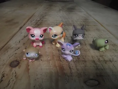 Buy Littlest Pet Shop Hasbro Set Of 4 Figures Dog,cat,animal #6 • 13.99£