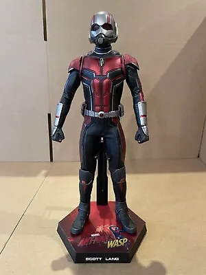 Buy MMS497 Hot Toys Ant-Man And The Wasp Ant-Man (Displayed) • 200£