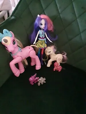 Buy My Little Pony Figures Bundle + Equestrian Doll Girl  • 9£