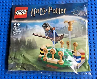 Buy Lego - Harry Potter ( Set 30651 - Quidditch Practice ) Brand New • 4.99£
