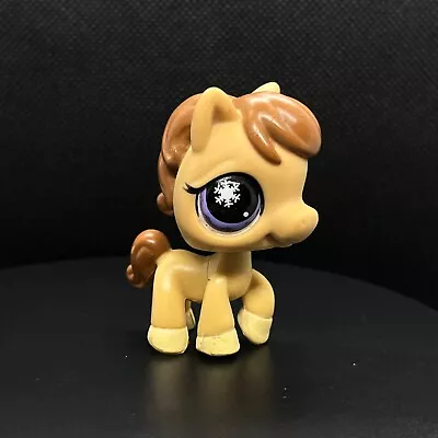 Buy LPS Littlest Pet Shop Pony Horse Tan Purple Snowflake Eyes #684 • 4.95£