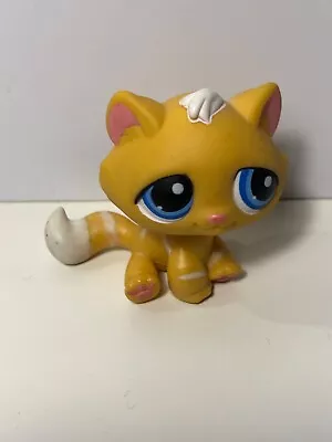 Buy LPS Littlest Pet Shop  #349 Tabby Cat With White Str • 2.99£