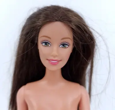 Buy Barbie Teresa Lara Doll Brunette Mattel 1990s 2000s • 20.48£