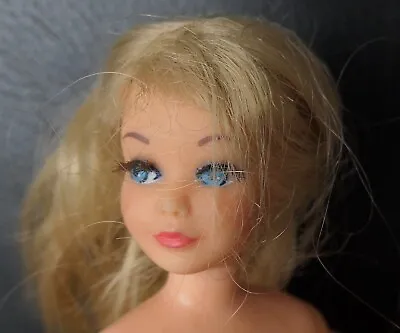 Buy Vintage Barbie Skipper Doll, 1967, Model #: 1105 TNT Made In Japan, BL, Blonde • 143.12£