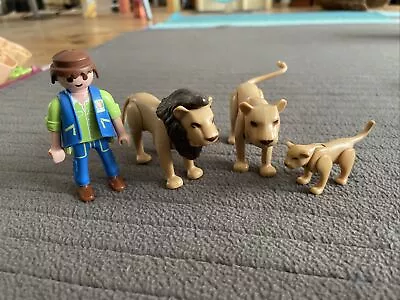 Buy Playmobil Zoo Wildlife Safari - Lion Family X 3 Cub & Zookeeper • 4.99£