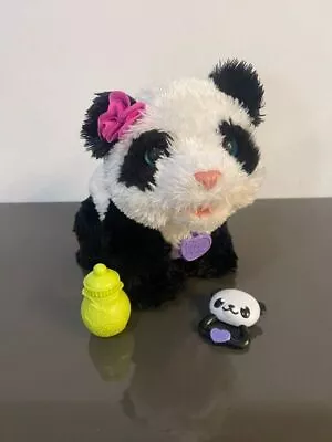 Buy Furreal Friends Panda Plush Toy • 5£