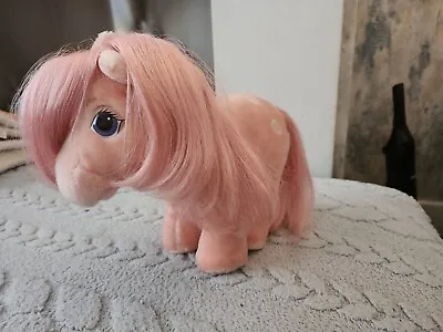 Buy MY LITTLE PONY G1 Plush Pink COTTON CANDY Soft Toy HASBRO SOFTIES VINTAGE 80's • 0.99£
