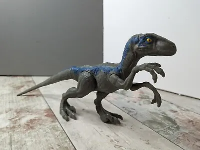 Buy Jurassic World Blue Velociraptor Dinosaur Figure 12 Inch Long • 12.99£