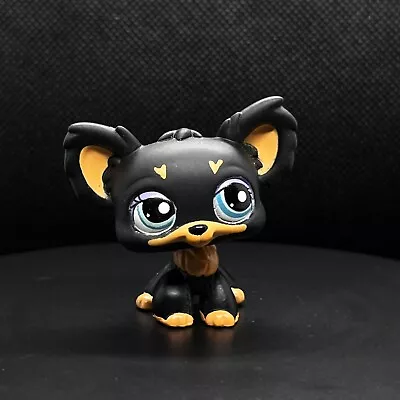 Buy Littlest Pet Shop #1571 Toy Black Chihuahua Dog • 9.99£