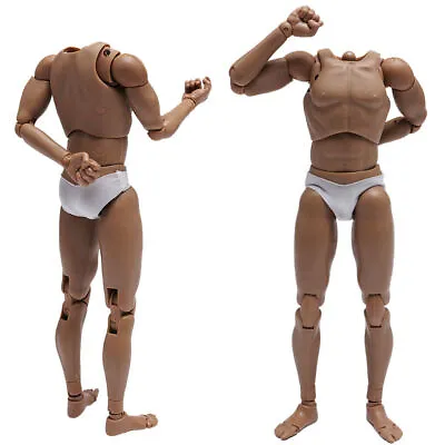 Buy 1:6 Scale Male Muscular Body V1-N Action Figure 12 Doll Fit Phicen Hot Toys Head • 18.94£