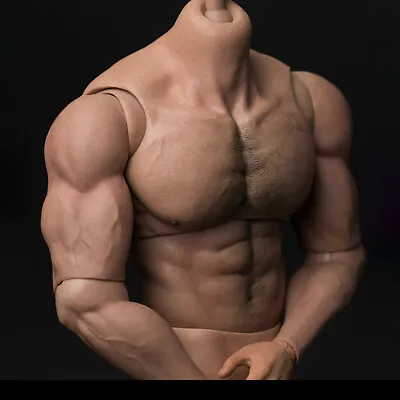 Buy Worldbox 1/6 SUPER STRONG Muscular Durable Male Figure Body For Hot Toys Phicen • 12.55£