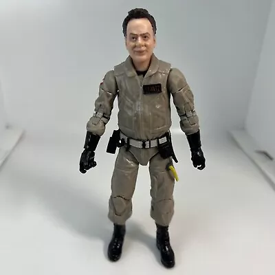Buy Ghostbusters Plasma Series - Ray Stantz - Collectable Action Figure Hasbro • 12£