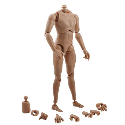 Buy B001 1:6 Male Figure Body Caucasian Narrow Shoulders Fit HOT TOYS Head Sculpt • 17.43£