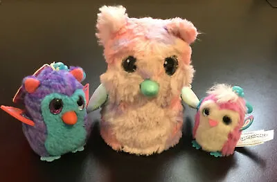 Buy Hatchimals Owl / Chick Interactive Toy Pink/Purple/Blue + NEW X2 Plush Clip-Ons • 12.99£