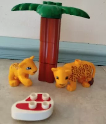 Buy Lego Duplo Zoo Animal: 2 Leopards - Mother And Baby With Tree And Meat • 8£