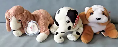 Buy Trio TY Beanie Baby Dogs - Dizzy, Wrinkles & Sniffer • 1.99£