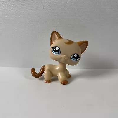 Buy Littlest Pet Shop #1024 Toy | Short Hair Cat / Caramel Swirl | Official Hasbro • 19.99£