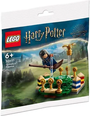 Buy LEGO 30651 - Harry Potter Quidditch Practice - Polybag 2023 - New & Sealed • 7.49£