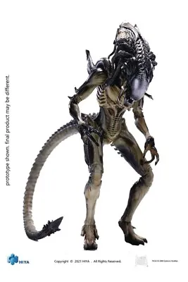 Buy Hiya Toys 1:18 Scale AVP Alien Vs Predator Requiem Predalien Figure  Multicolor • 49.19£