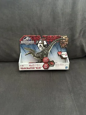 Buy Jurassic World - Velociraptor  Blue By Hasbro In 2015 • 12.99£