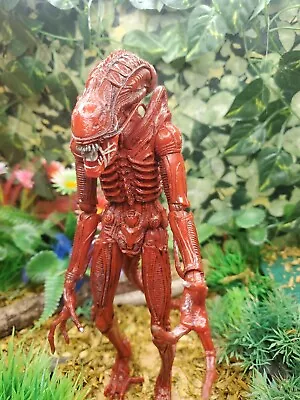 Buy 2013 Aliens Genocide Xenomorph Warrior Red Figure, 8.5” Tall • 21.99£