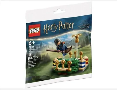 Buy LEGO 30651 Harry Potter Quidditch Practice Sealed Polybag - Brand New And Sealed • 5.49£