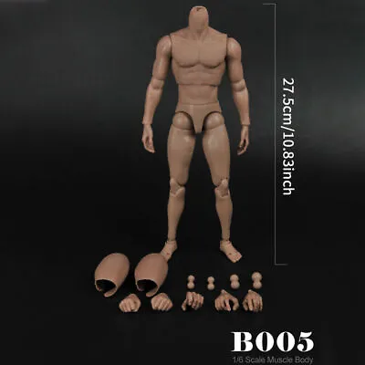 Buy Flexible 1/6 Action Figure Narrow Shoulder Male Rude Muscular Body For Hot Toys • 19.57£