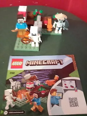 Buy Lego Minecraft: The Taiga Adventure (21162) - Complete Build • 4.99£
