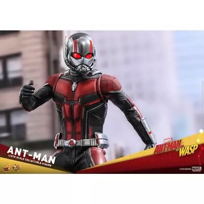 Buy Hot Toys Movie Masterpiece Ant-Man Wasp 1/6 Scale Figure • 413.19£