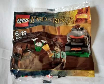 Buy LEGO The Lord Of The Rings Hobbit Frodo Cooking Corner Poly Bag 30210  • 10.99£