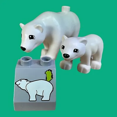Buy LEGO Duplo Polar Bear Enclosures With Polar Bear Young Zoo From 10519 #D/11 • 10.27£