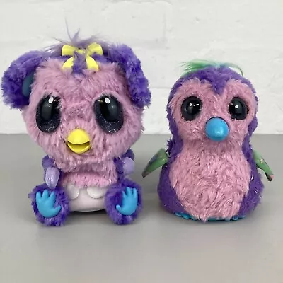 Buy Hatchimals Light Up Interactive Pets Owl And Penguin Pink & Purple Birds Working • 10.99£