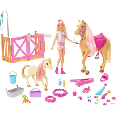 Buy Barbie Groom N Care Horses Playset With Barbie 11 Inch Doll 2 Horses Accessories • 49.99£