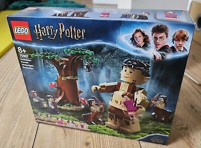 Buy LEGO Harry Potter Forbidden Forest Umbridges Encounter (75967) Sealed • 24.95£