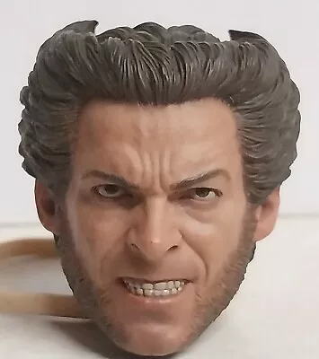 Buy Wolverine Head Sculpt • 22£