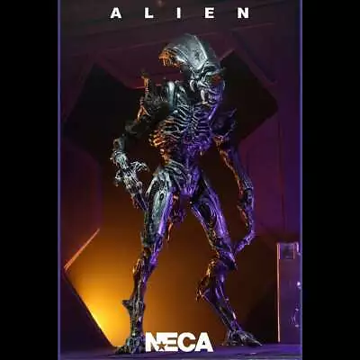 Buy Alien 7  Scale Rhino Alien Version 2 Kenner Tribute Action Figure From Neca • 39.95£