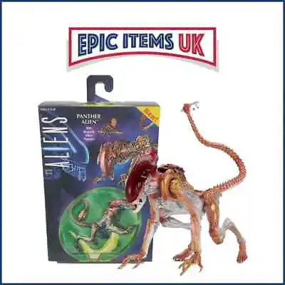Buy Aliens Kenner Tribute 7  Scale Action Figure - Panther Alien - NECA • 29.99£