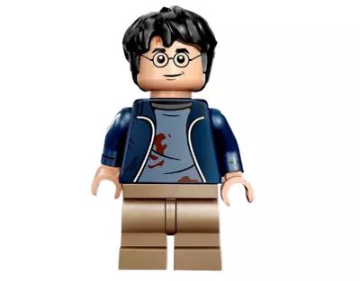 Buy Lego HARRY POTTER Minifigure - (hp419) - Set 76414 - BRAND NEW • 7.99£