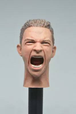 Buy 1/6 Male Head Sculpt With Expression For 12'' Figure HOT TOYS FP-A-005 • 21.59£