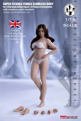 Buy 1/12 Phicen TBLeague T04B Female Seamless Figure Tan Skin Medium Bust Body UK • 48.95£