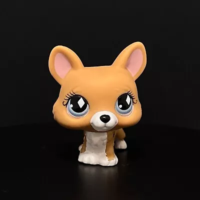Buy LPS Hasbro Littlest Pet Shop Figure ##639 Corgi • 8.99£