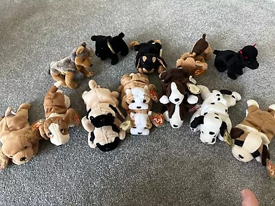 Buy TY Beanie Baby Dog Collection • 16£